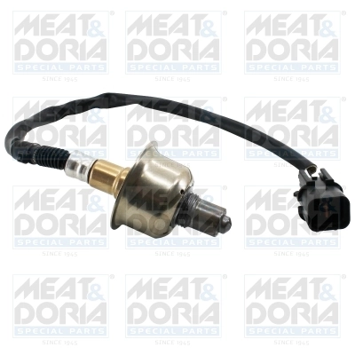 Oxygen Sensor